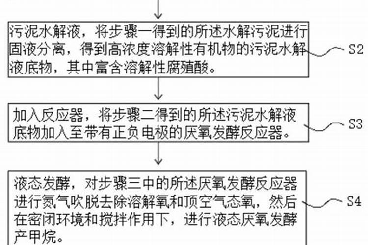 杜鹃花没有原来的花朵大而且有型,花叶变黄是怎么回事