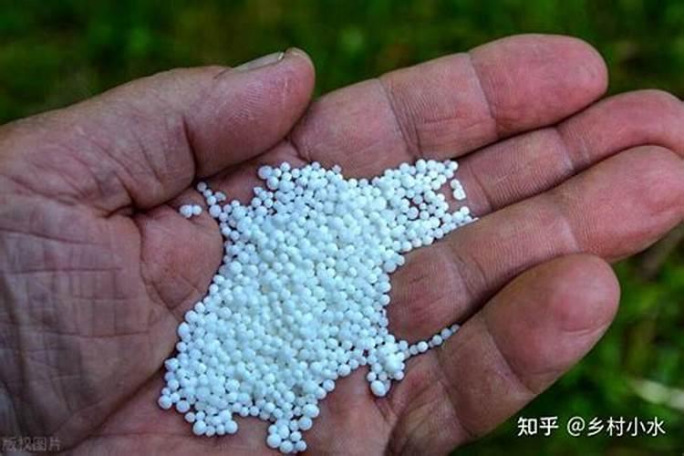 尿素当叶面肥使用方法
