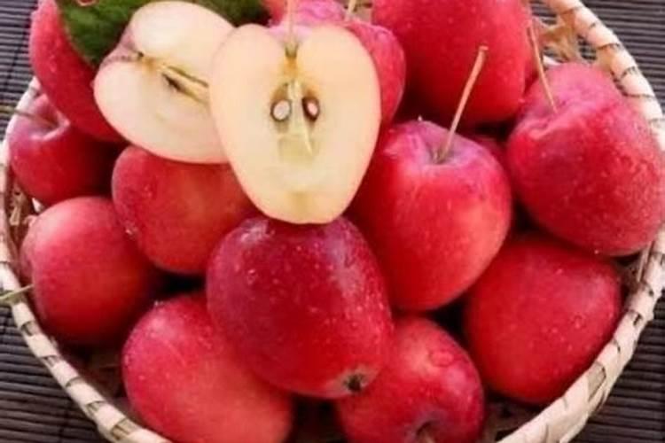 硅肥对葡萄的作用及使用方法