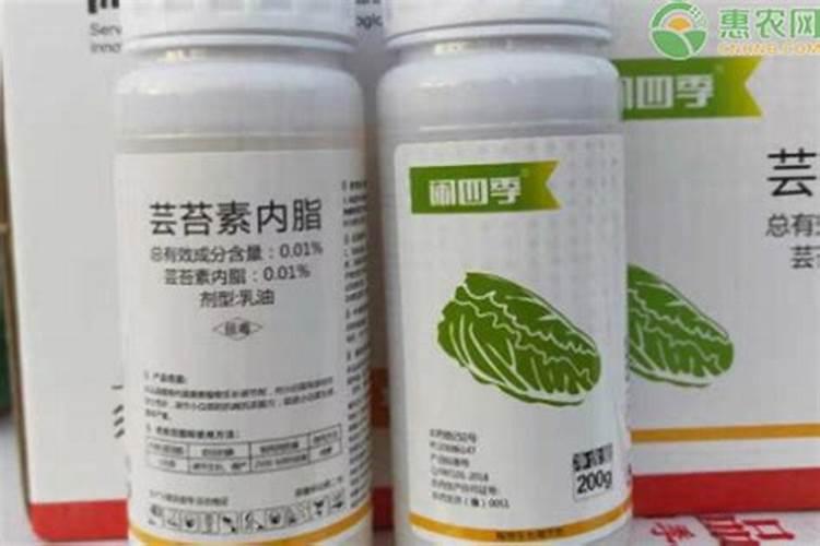 芸苔素能喷玉米吗