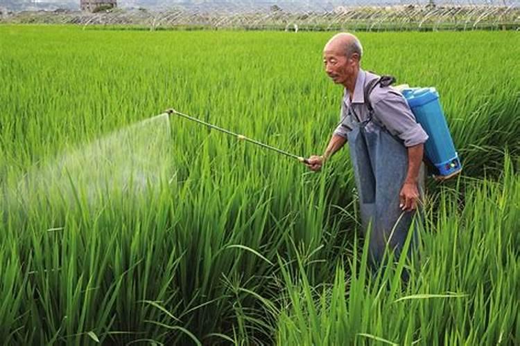 山东大地乳业有限公司基本信息