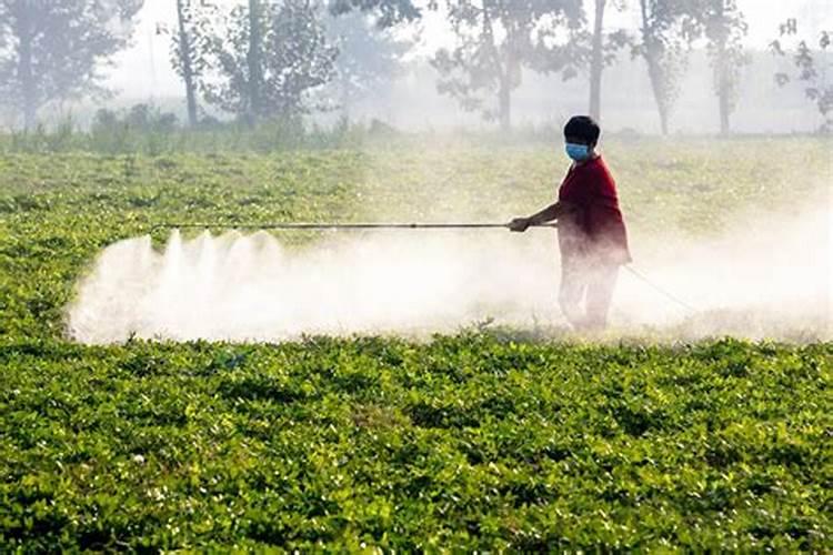 缺氧游戏没有肥料怎么种植 种植方法介绍