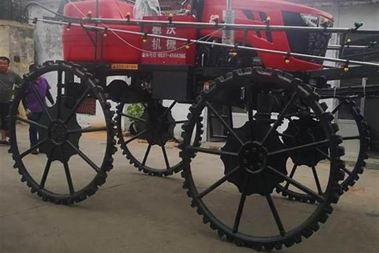 月季叶面喷什么肥好