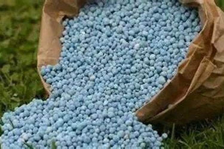 草坪施肥一亩地施多少