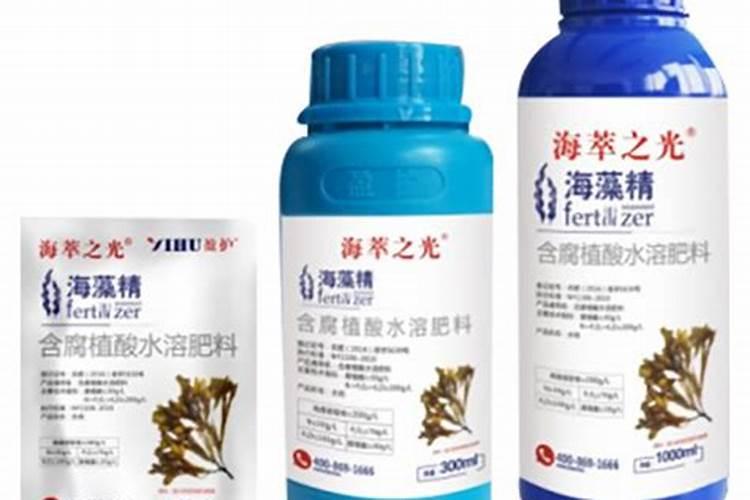 海藻树属于乔木吗？