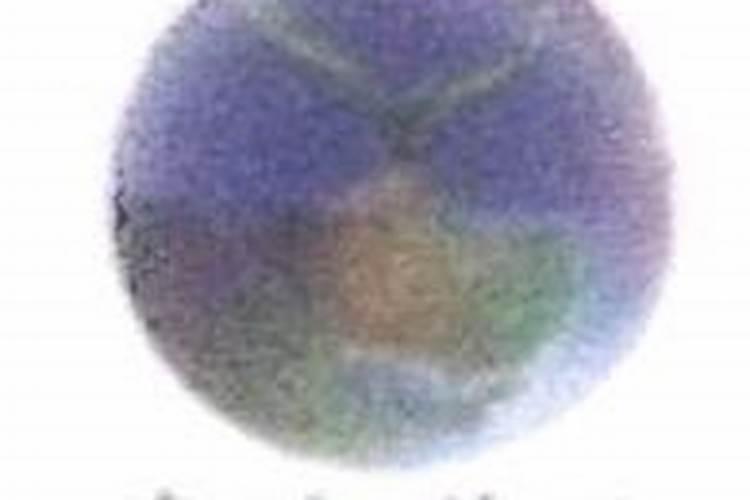 红三角复合肥有几个厂家生产