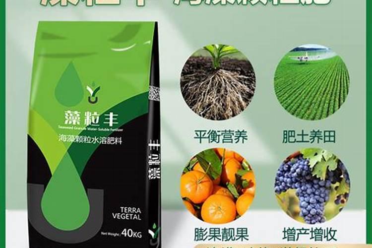 海藻肥哪个品牌的好？