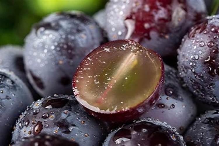 葡萄花期可以喷施叶面肥吗