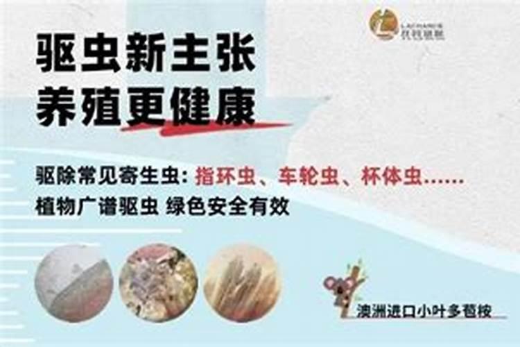 磷酸二氢钾喷叶后多少天可以喷水？