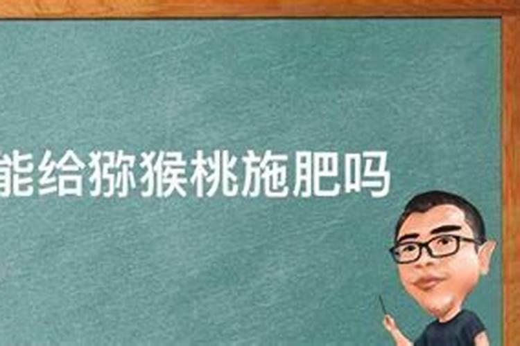 小麦在小满期间能不能使用叶面肥