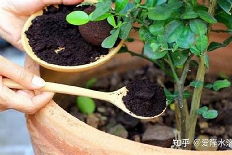 液体肥料制作方法