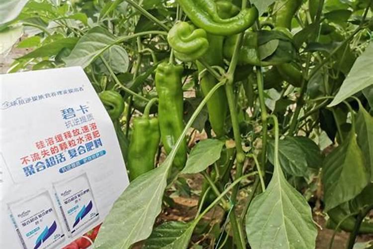 中国水溶肥十大品牌