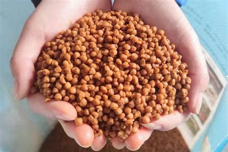 大米泡多长时间会坏