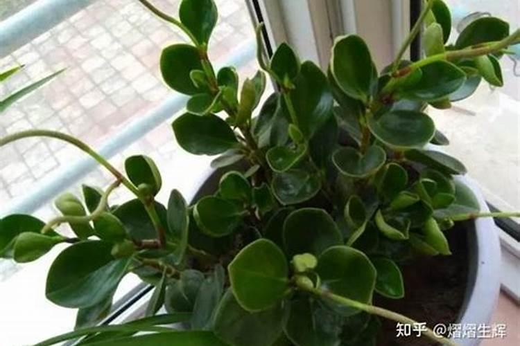 棉花生长到了花铃时期,需要增加肥料吗？