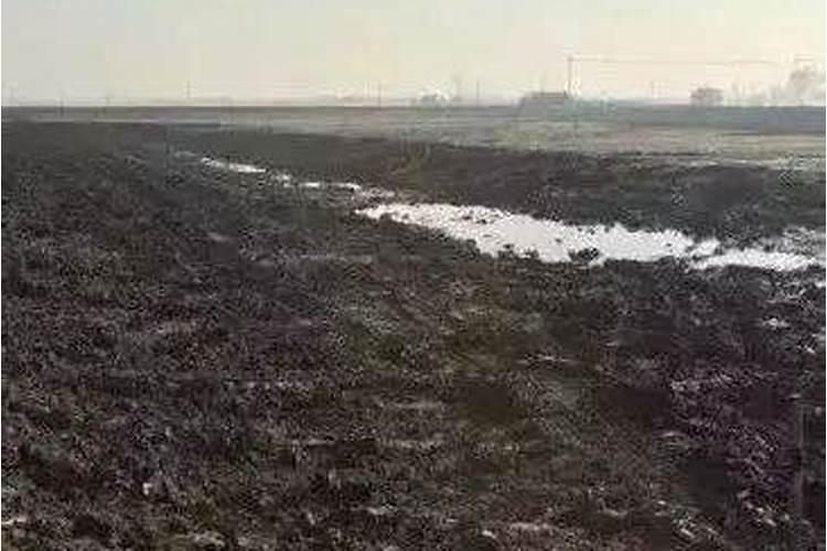 水缸里放生石灰好吗