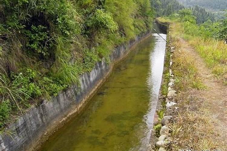 养虾最忌讳什么