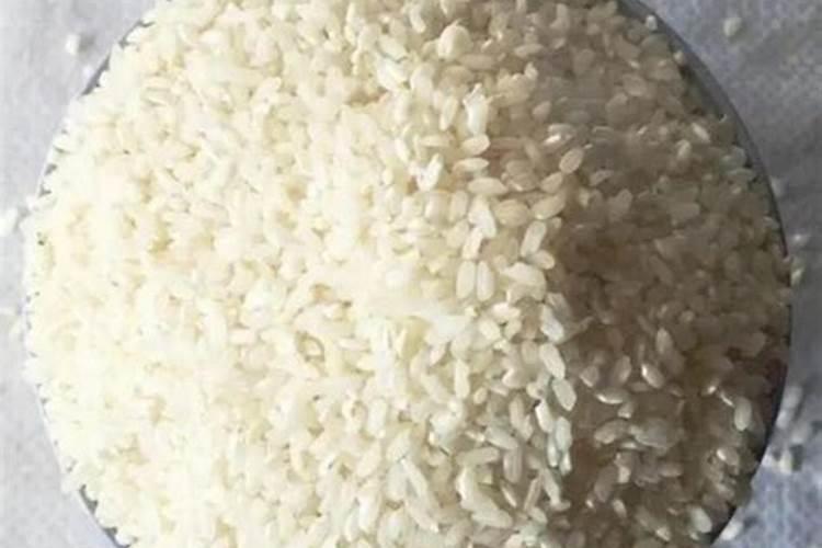 发酵的洗米水浇花会长虫吗 淘米水如何浇花不生虫