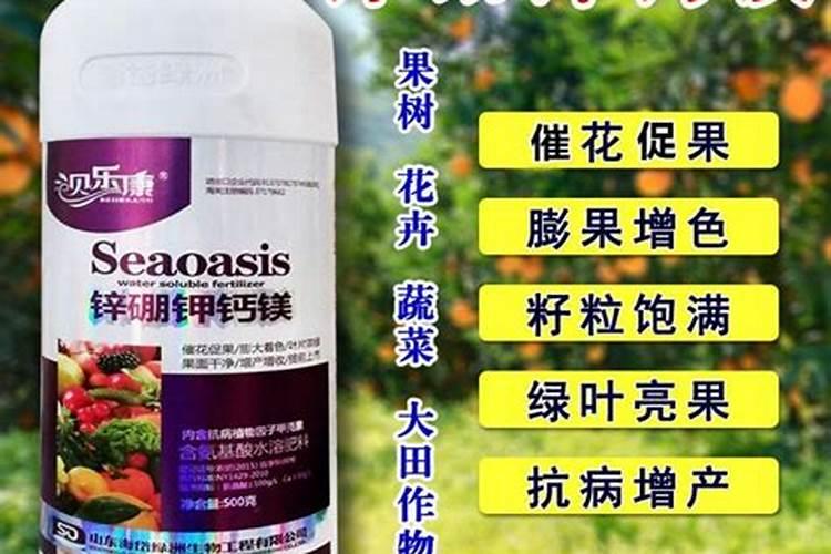 怎样给花施肥？