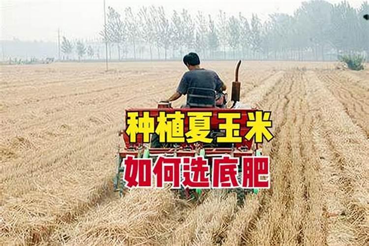 尿素和纯钾肥怎么配比？