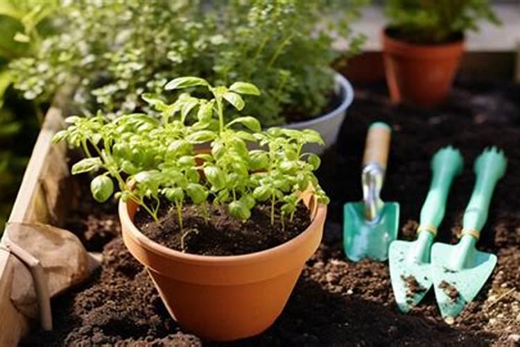 酸性花卉大全 哪些花喜欢酸性土壤