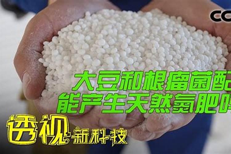 大豆可以做肥料吗 大豆用作肥料好吗