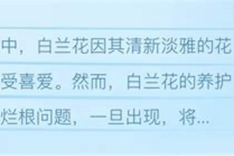 白兰花新叶报不出,报了也发黑发枯,之前施过肥,求大神指点