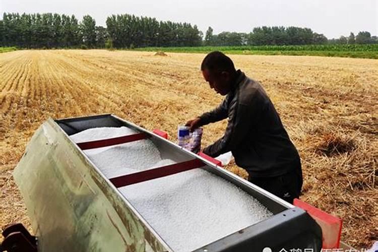 芦荟长这样,是要挂了吗