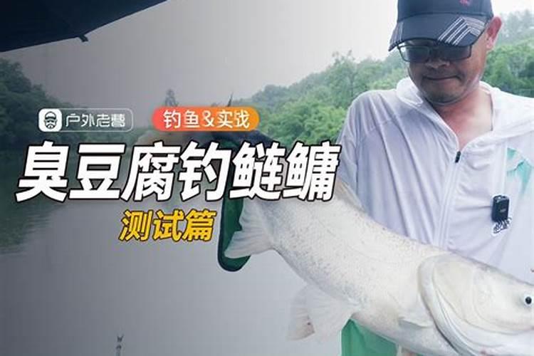 氮肥可以做叶面肥吗