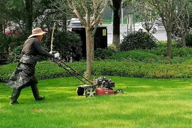 波尔多液可以加叶面肥吗