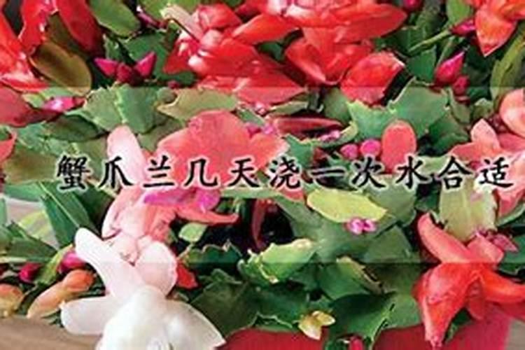 调环酸钙对作物副作用