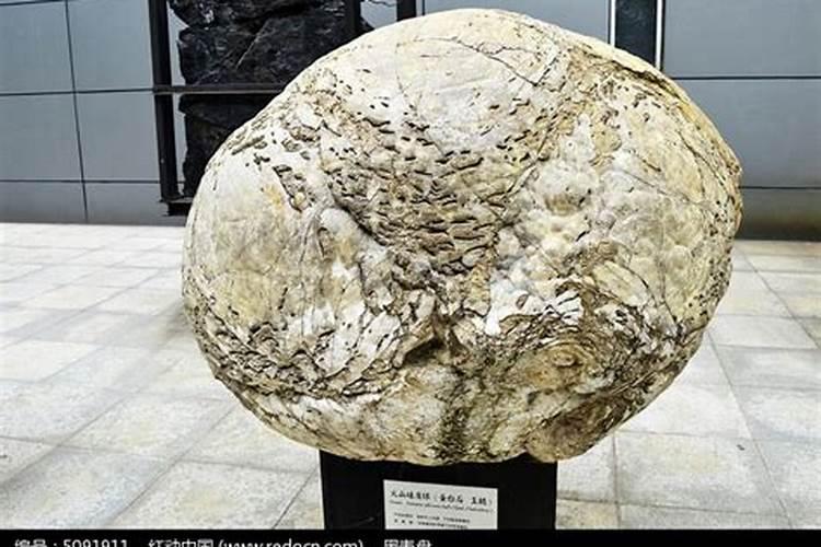 水溶肥使用技巧