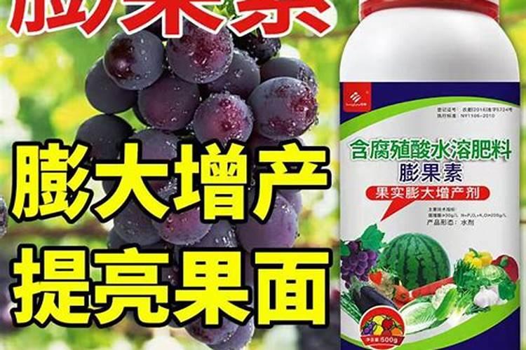 西红柿施肥时间及方法