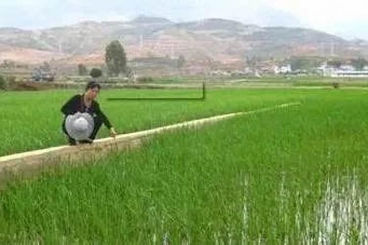 网购假冒肥料,消费者能否请求三倍价款赔偿？