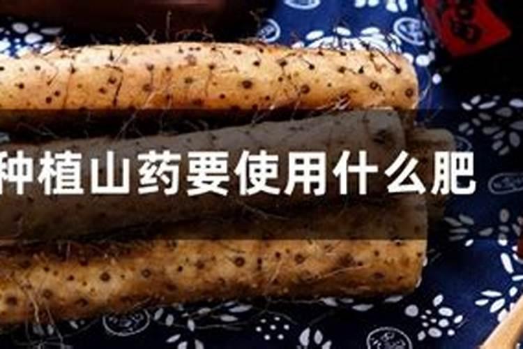 山药需肥规律以及施肥方案,附山药的种植方法