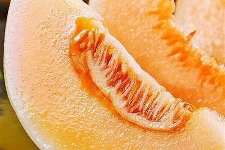 棉花后期喷什么叶面肥