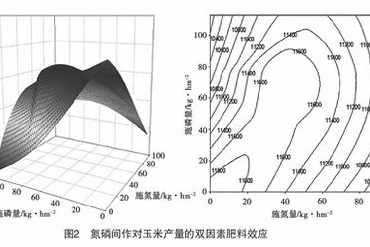 山药叶子发黄是怎么回事