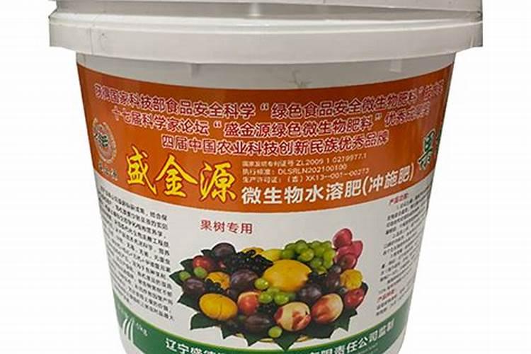 金钱树的管理方法