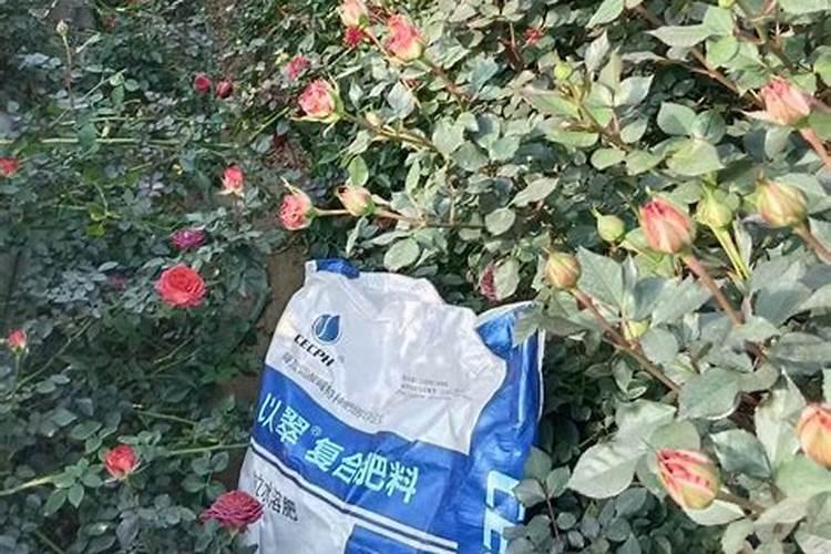 沃澜水溶肥是正规厂家吗