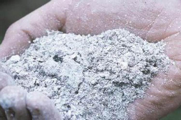 吊兰什么时候浇水