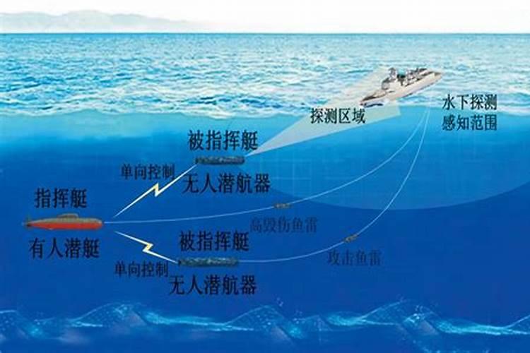 月季花施磷酸二氢钾肥料的正确用法