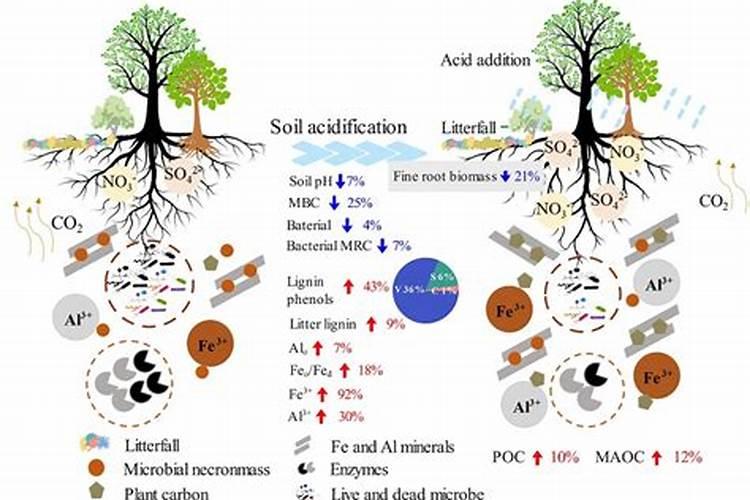 含微生物的有机水溶肥里面含什么？