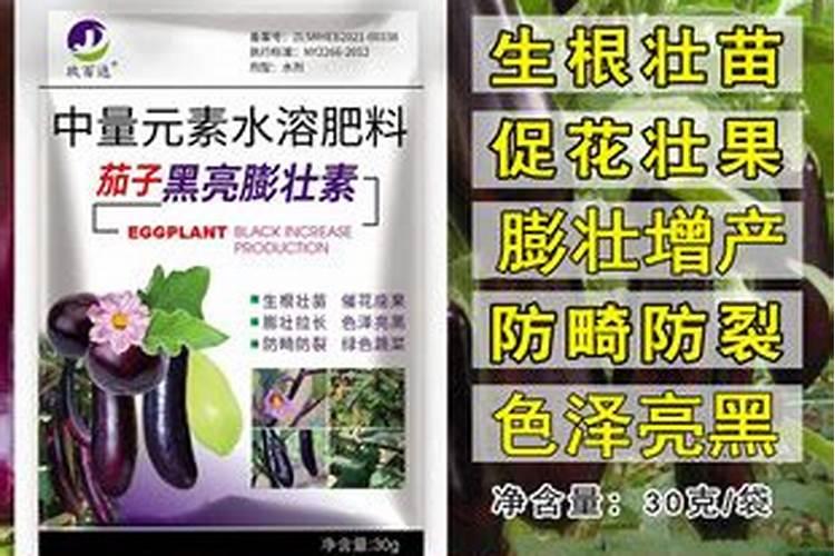 茄子高产用什么叶面肥好？茄子促花保果根茎块膨大素？