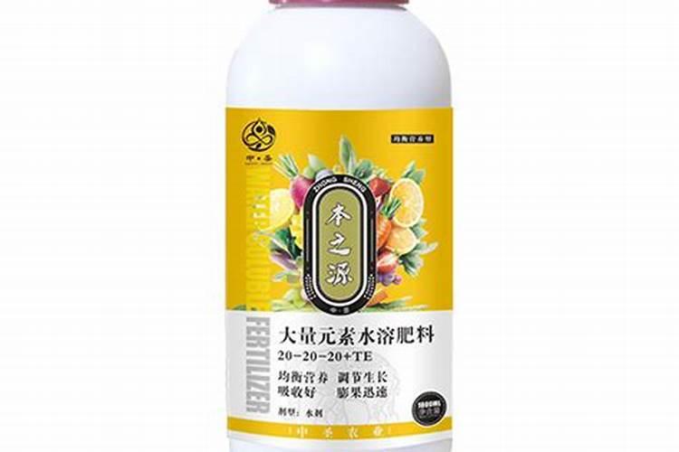 郁金香酒店是哪个集团的