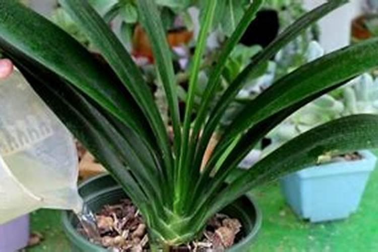 “共享农业”模式,颠覆传统农业开启您的共享田园生活