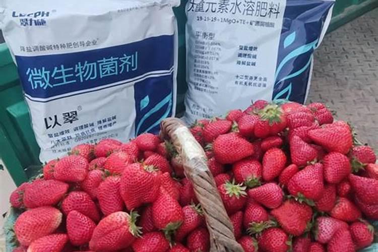 花生什么时候施肥料最佳时间