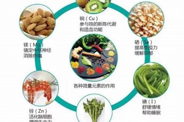 鱼蛋白对植物的作用