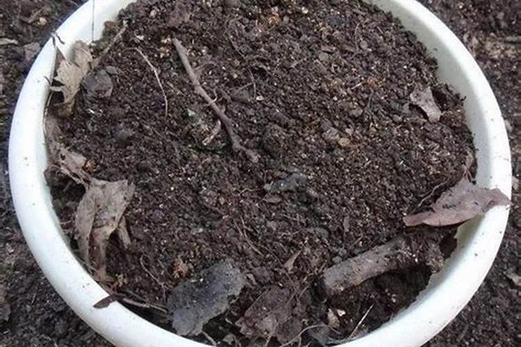 叶面肥多少钱一袋