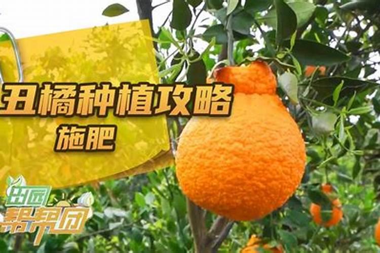 益施秋实中量元素水溶肥用量是多少