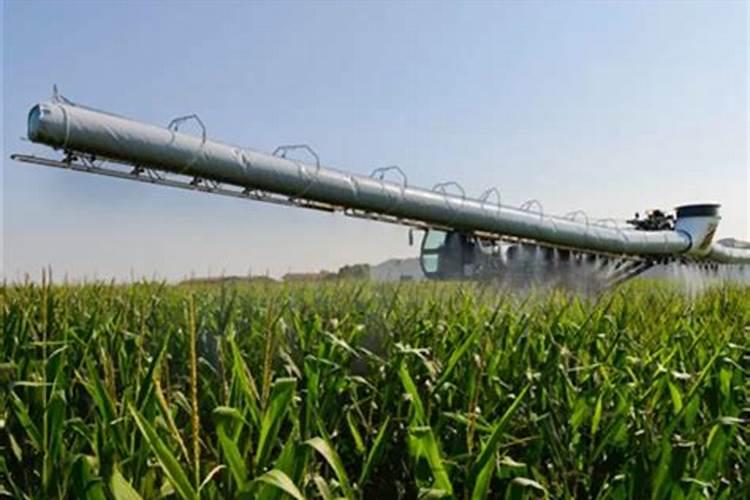 科卫敌敌畏90%对辣椒开花做果有影响吗