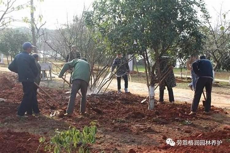 日本每年无偿援助中国多少钱？